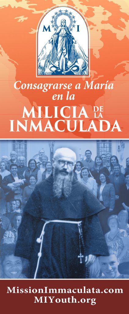 MI National Brochure 2017 8.5x16.5in Spanish graphic
